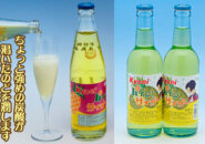 Kyoeiパインサイダー